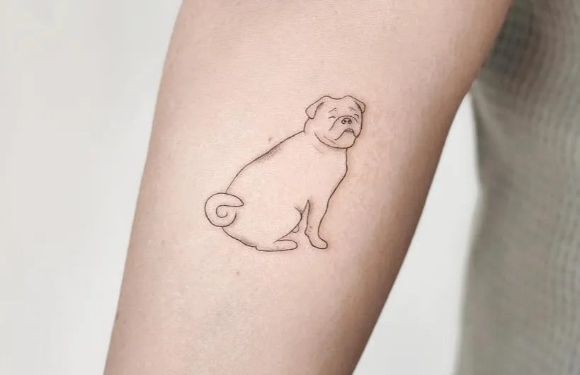 의 여성 팔 타투에 작은 선으로 그린 퍼그